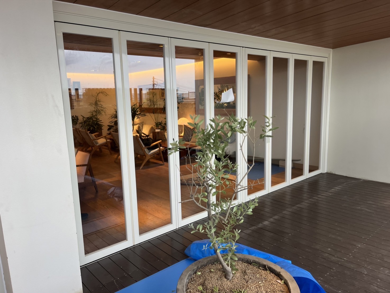 ラクタス 8枚建て